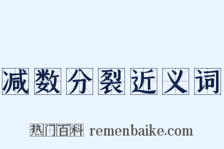 减数分裂近义词是什么意思的图片